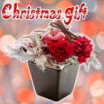 xmas_flower01