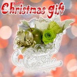 xmas_flower02